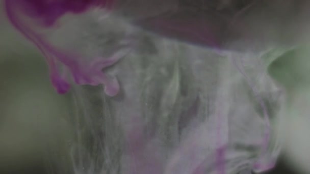 Mooie paarse kleur verf cloudd wervelingen van penseel in water — Stockvideo