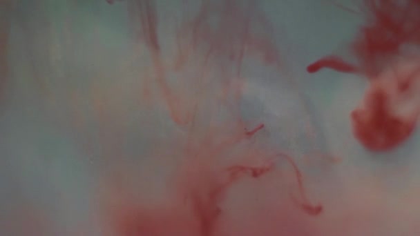 Красива червона кольорова фарба, що плаває у воді — стокове відео