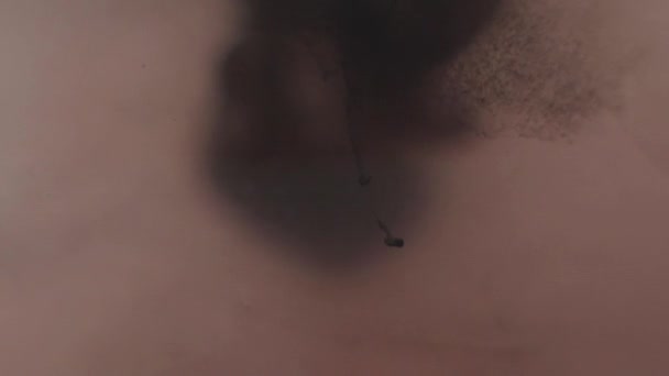 Mooie zwarte kleur verf zwevende vorm van penseel in vloeistof — Stockvideo