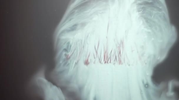Cor branca bonita pintar turbilhão nublado de escova na água — Vídeo de Stock