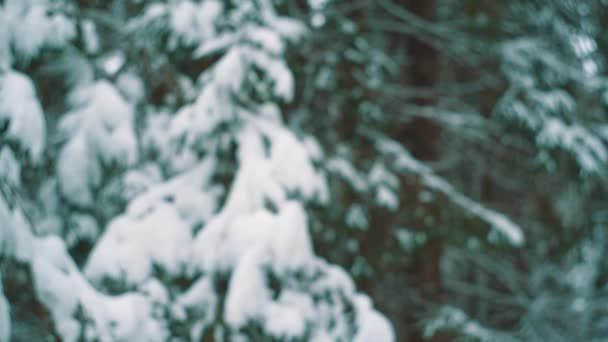 Jonge man lopen op sneeuw overdekte traject in bos op winterdag — Stockvideo