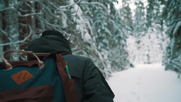 Randonneur pédestre marchant sur le sentier enneigé dans les bois le jour d'hiver — Video