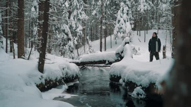 Utazó srác járás a hó borítja, trail közelében folyó erdőben téli napon — Stock videók