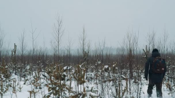 Chico joven caminando sobre arbustos de pradera cubiertos de nieve en el día de invierno — Vídeo de stock