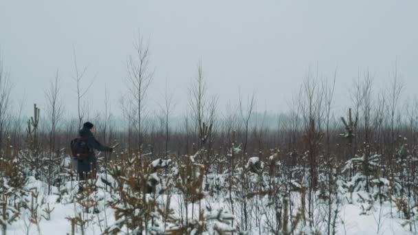 Caminante joven caminando sobre arbustos de pradera cubiertos de nieve en el día de invierno — Vídeo de stock