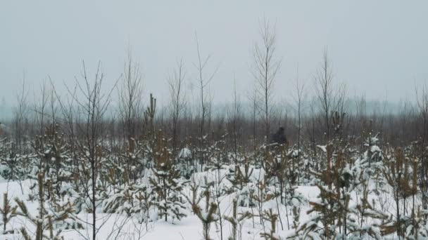 Jonge wandelaar wandelen op sneeuw bedekt prairie struikgewas op winterdag — Stockvideo