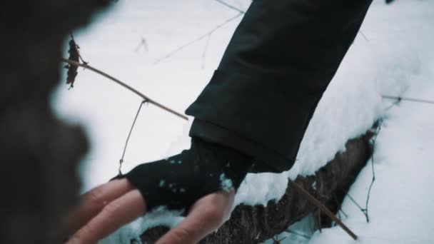 Male hand swipes snow pile of wooden log in forest — Stock Video