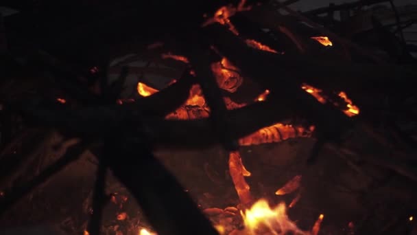 Zářící dřevěné hole v hořící ohně v noci — Stock video