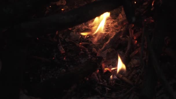 Bois de chauffage crépitant flamme flamboyante dans la pile de feu de camp 