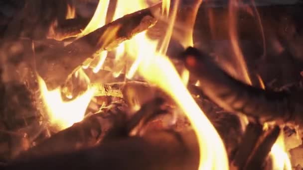 Brandhout krakend brandende vlam in stapel voor bonfire — Stockvideo