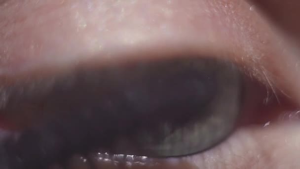 속눈썹에 마스카라 블랙 메이크업을 적용 하는 녹색 외 눈 박이 여자 — 비디오