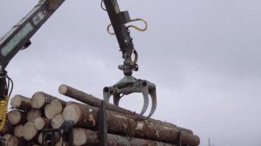 Mekanik pençe yükleyici kereste fabrikasında ağır kamyon ahşap günlükleri kaldırır