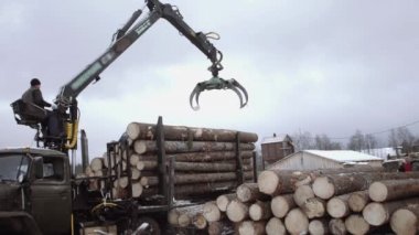 Kamyon pençe yükleyici kereste fabrikasında ağır kamyon ahşap günlükleri kaldırır
