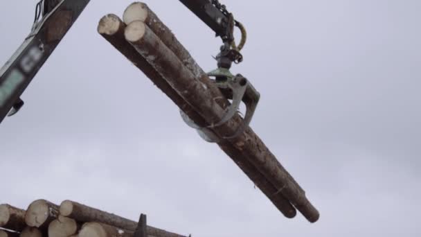 Mechanical arm loader unloads wood logs from heavy truck at sawmill facility — Stock Video