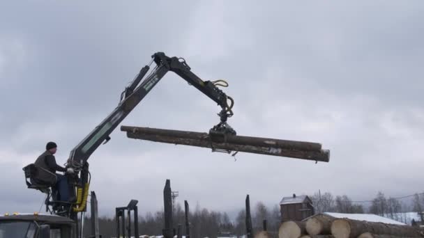 Crane dráp zavaděč uvolní dřeva protokoly od těžkých nákladních automobilů v pilařské výrobě — Stock video