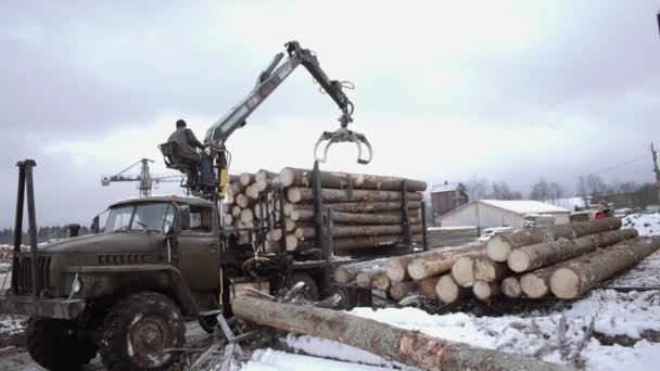 Crane klo loader lastar av ved från tunga lastbilar vid sågverk anläggning — Stockvideo