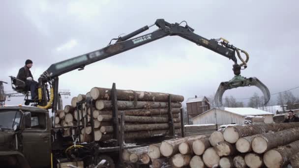 Lorry arm loader unloads wood logs from heavy truck at sawmill facility — Stock Video