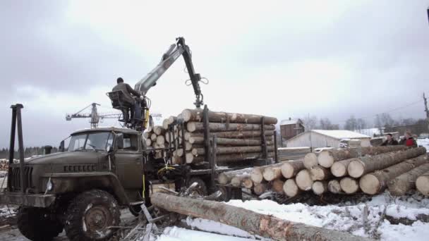 Heavy claw loader unloads wood logs from heavy truck at sawmill facility — Stock Video