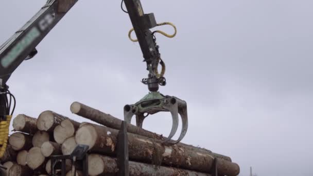 Mekanisk klo loader lastar av ved från tunga lastbilar vid sågverk anläggning — Stockvideo