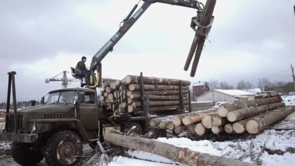 Важкий броньований навантажувач розвантажує дерев'яні колоди з важкої вантажівки на лісопильному заводі — стокове відео