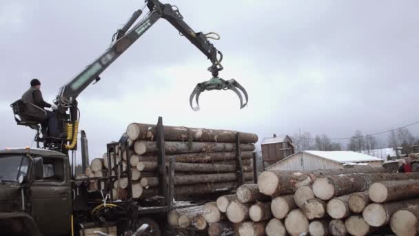 Cargador de garras de camión descarga troncos de madera de camiones pesados en las instalaciones del aserradero — Vídeos de Stock