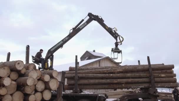 Mechanischer Krallenlader entlädt Holzstämme von schwerem Lastwagen auf Sägewerk-Anlage — Stockvideo