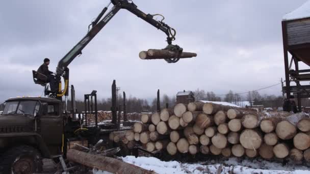 Schwerer Armlader entlädt Holzstämme von Schwertransporter in Sägewerk — Stockvideo