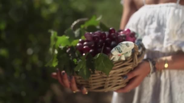 Meisje in witte jurk houden van houten mand met druiven planten op het wijngoed — Stockvideo