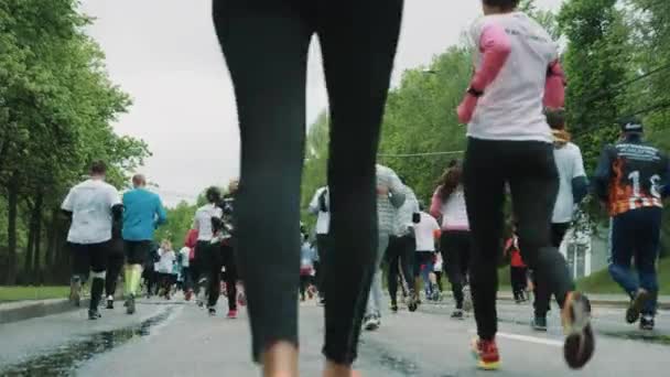 Piernas en leggins de mujer corriendo marthon con atletas multitud — Vídeo de stock