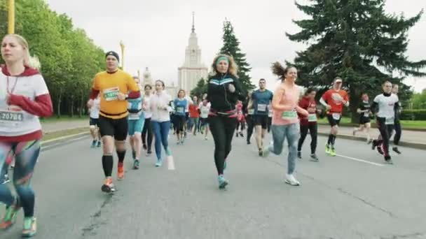 Maratón de caridad multitud de personas sanas en ropa deportiva — Vídeos de Stock