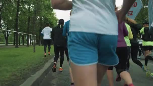 Gruppo di atleti maratona di corsa su strada asfaltata bagnata nel parco cittadino — Video Stock