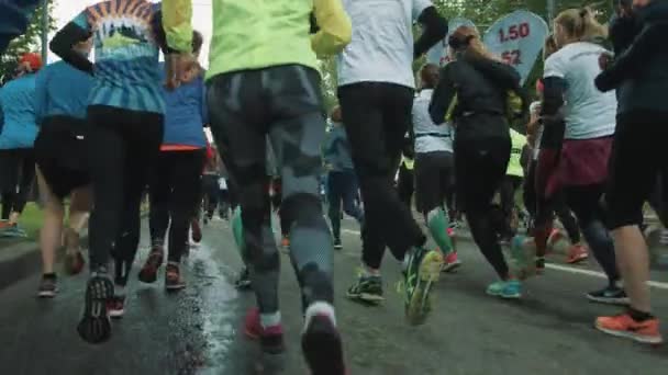 Група жінок в легінси під керуванням марафон на дорозі в міському парку — стокове відео