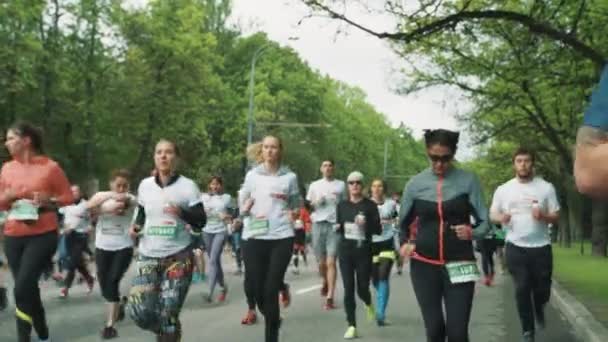 Konzentrierte Frau mit Sonnenbrille läuft Marathon in Menschenmenge — Stockvideo