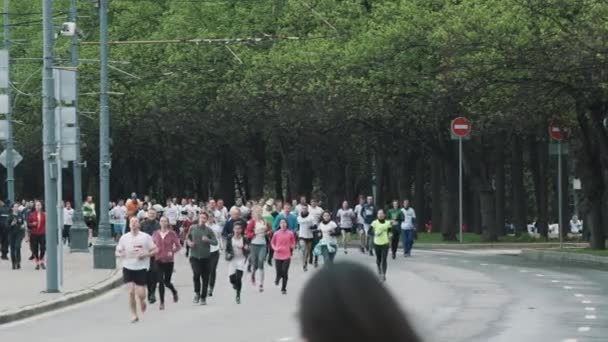 Menigte van sportieve atleten lopen marathon op weg in het city park — Stockvideo