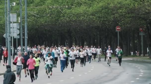 Multitud de deportistas corriendo maratón en la carretera en el parque de la ciudad — Vídeo de stock