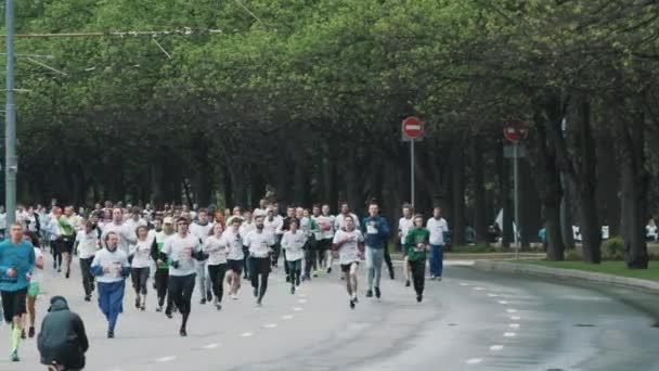 Multitud de corredores deportivos corriendo maratón en la carretera en el parque de la ciudad — Vídeos de Stock