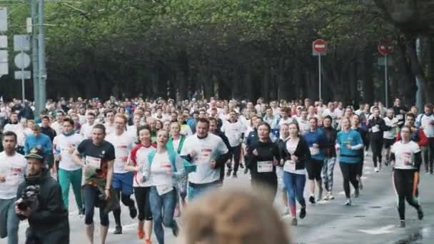 Crowd of healthy athletes running marathon on road at city park — Stock Video