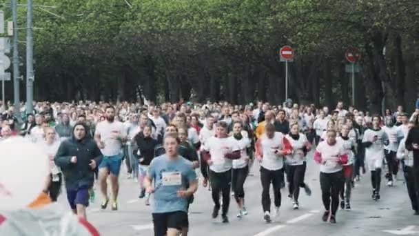 Толпа здоровых людей, бегущих марафон по дороге в городском парке — стоковое видео