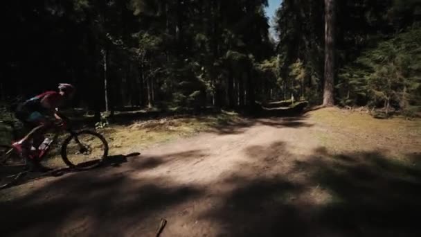 Bicicleta freeride corrida na floresta, esportistas passeios rápidos ao longo do pinheiro — Vídeo de Stock