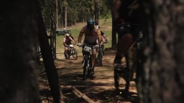 Radfahrer rast im Wald hinter Bäumen auf staubiger Straße — Stockvideo