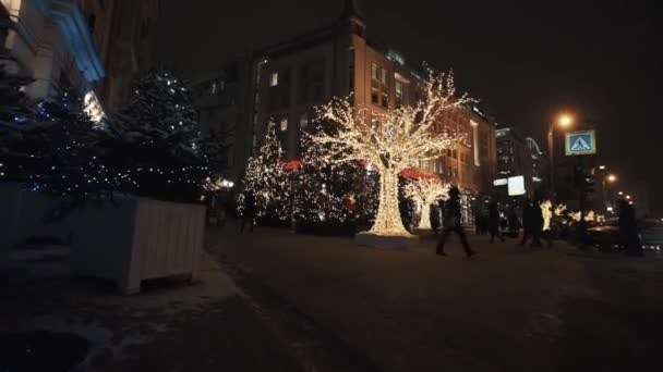 Beco de árvores decoradas com luzes guirlanda à noite cidade inverno rua — Vídeo de Stock