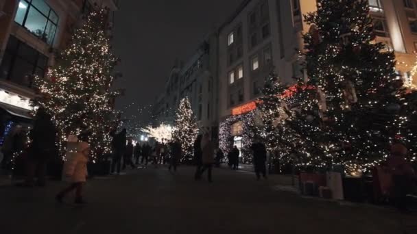Lane drzew ozdobione świateł girlanda w nocy miasto zima ulicy — Wideo stockowe