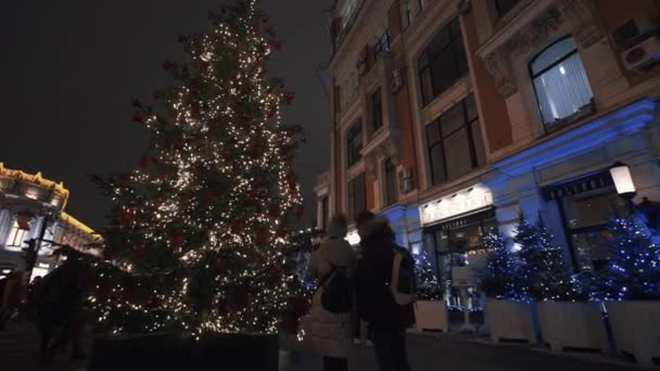 Alleyway de árvores decoradas com luzes de grinalda à noite cidade rua de inverno — Vídeo de Stock