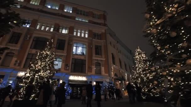 Pinos decorados con luces de guirnalda en la noche calle de invierno de la ciudad — Vídeo de stock