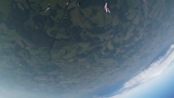 Parachutisten springen uit het vliegtuig. Maak vorming in de blauwe hemel. Extreme sport. Zonnige — Stockvideo