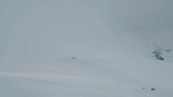 高さの雪に覆われた山の斜面の上を歩くシルエット アルピニスト観光客 — ストック動画