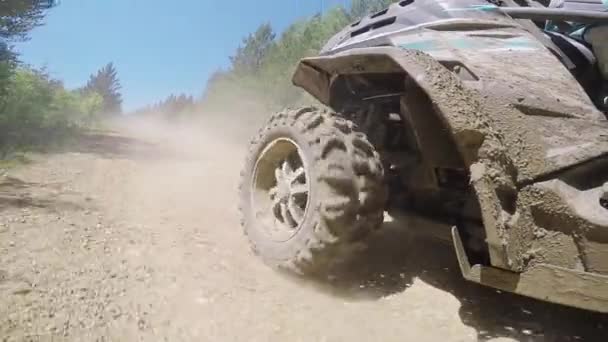 Side view of dirty quadrocycle riding on the offroad among grass and bushes — Stock Video