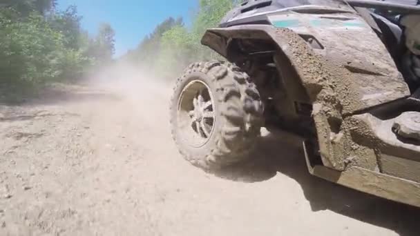 Dirty quadrobike dynamically riding on the offroad among grass and bushes — Stock Video