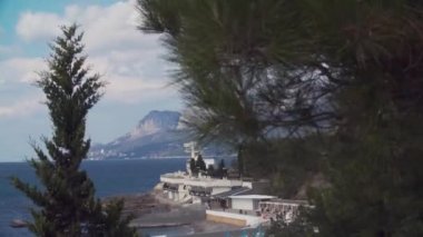 Soçi, Rusya - 28 Haziran 2018: Deniz kıyısındaki tatil beldesi önünde rüzgarda sallanan sedir dalı ve selvi