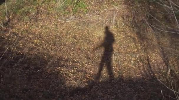 Sombra de homem magro no chão marrom, coberto com grama e folhas amarelas caídas — Vídeo de Stock